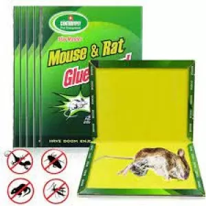 badgePack of 5 - Mouse & Rat Bond Traps - Expert Catch Mouse & Rat - Rat Glue Pad - Mouse Catcher Glue | Mouse Glue - Mouse Catcher Book - Mouse Catch